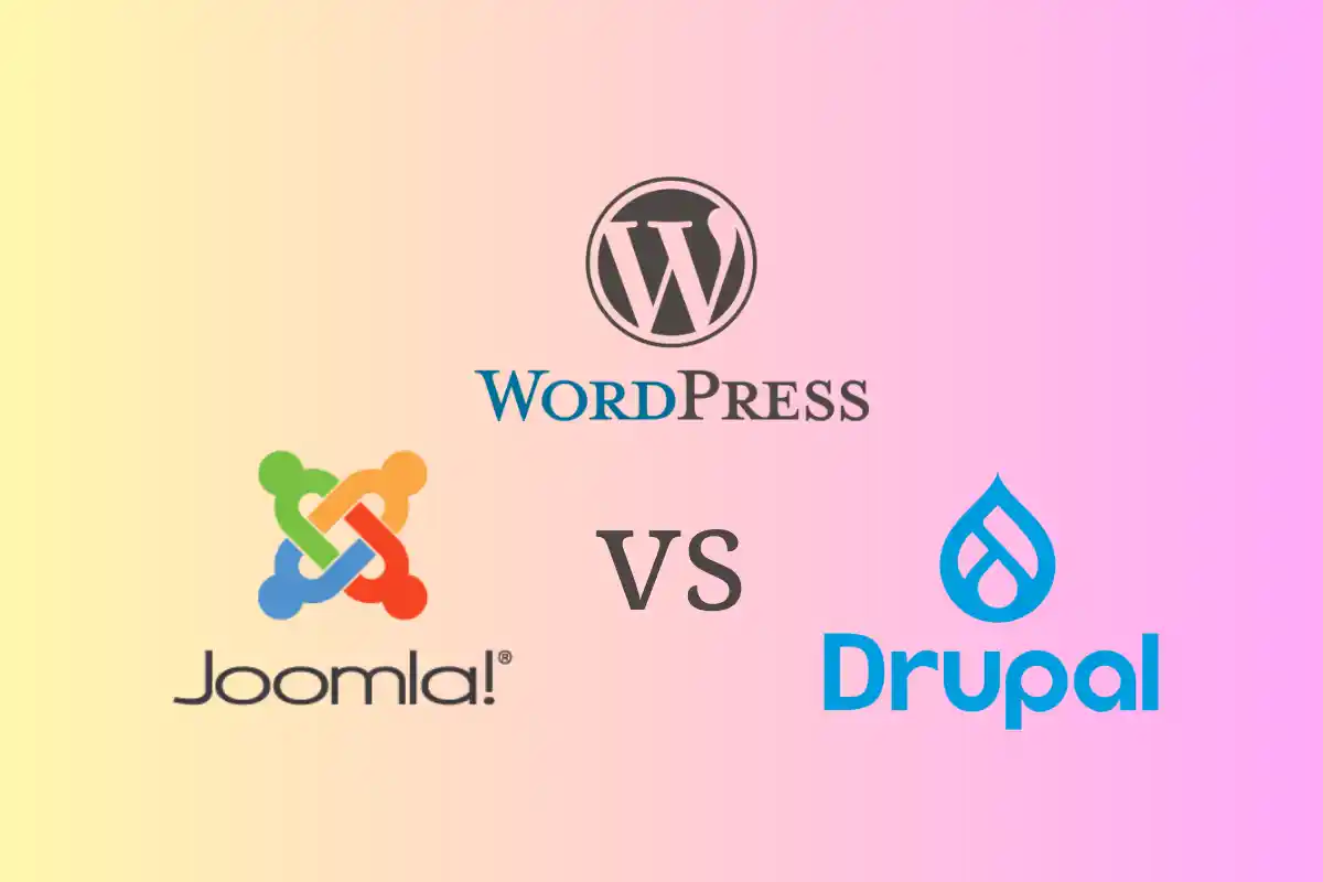 CMS Development Explained: WordPress, Drupal, Joomla or Custom?